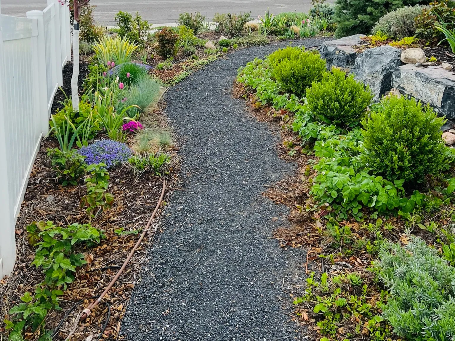 View of yard - Summer