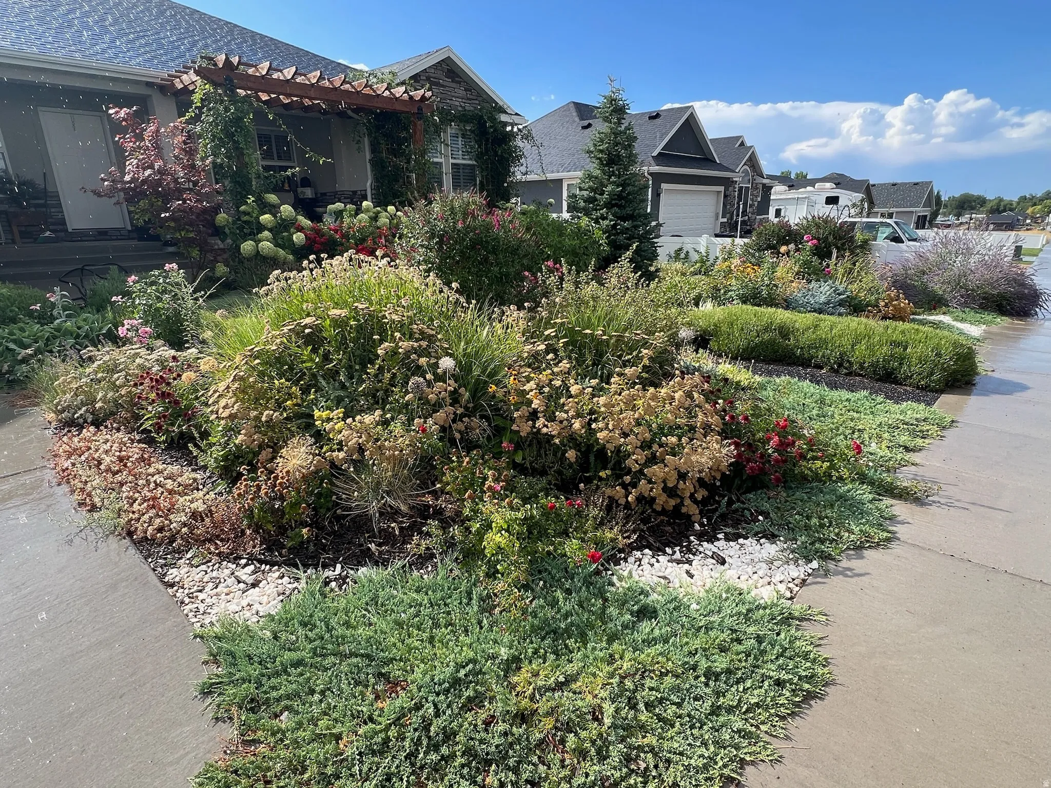 View of yard - Summer