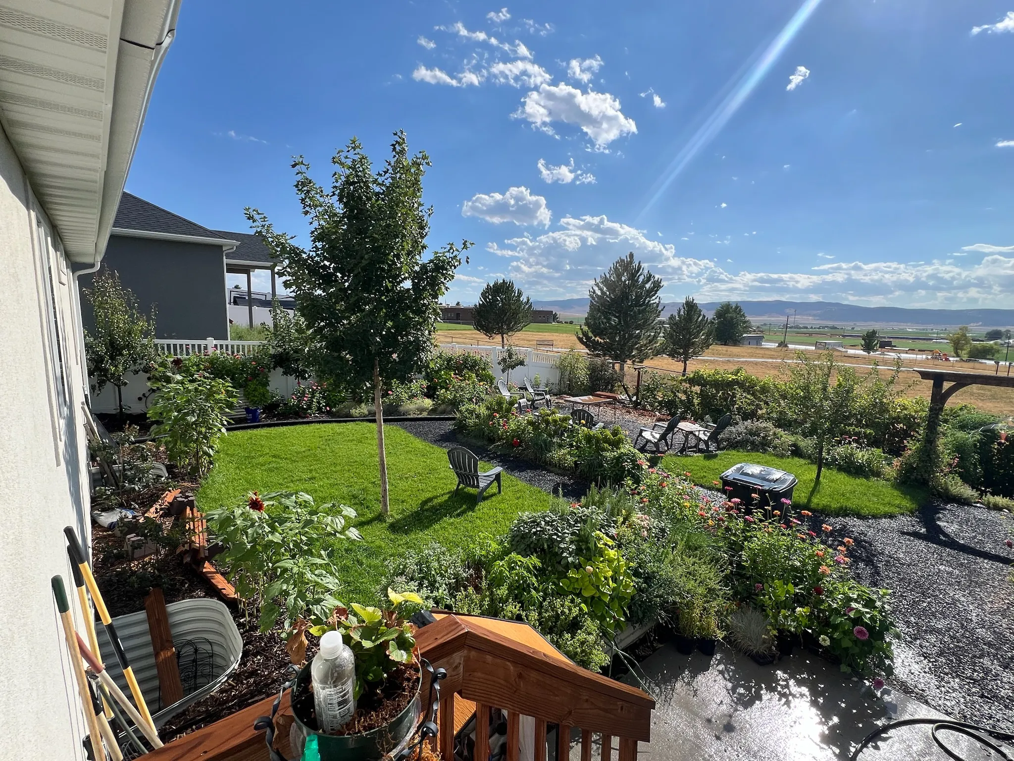 View of yard - Summer