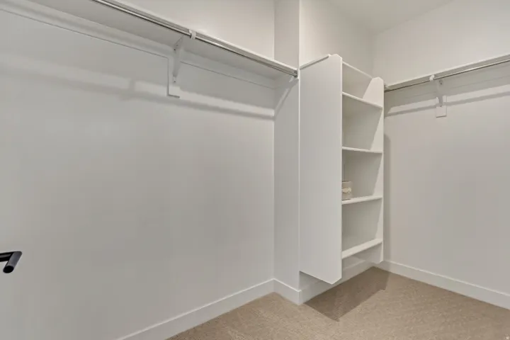 Walk in closet with light colored carpet