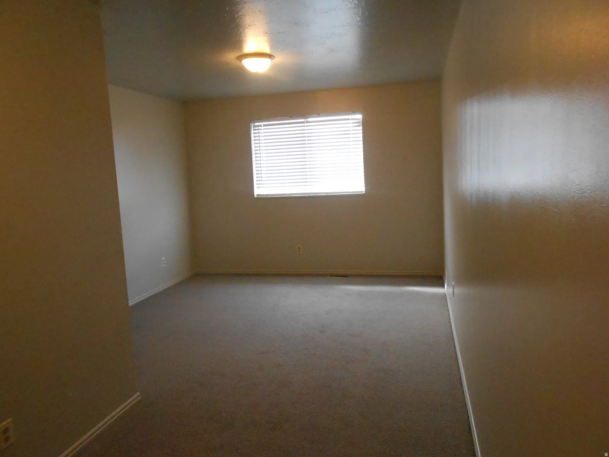 Spare room with light carpet and baseboards