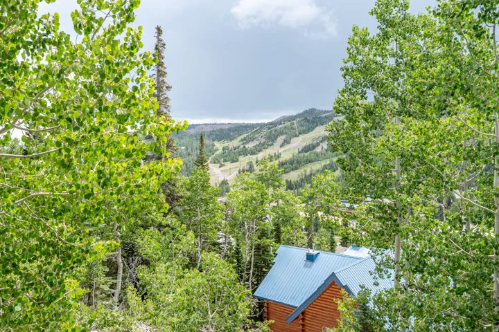 433 Eagles Roost, Brian Head, Utah 84719