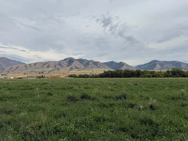 View to the east
