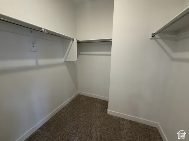 Walk-in closet featuring carpet flooring, crisp white walls, and built-in shelving with hanging rods