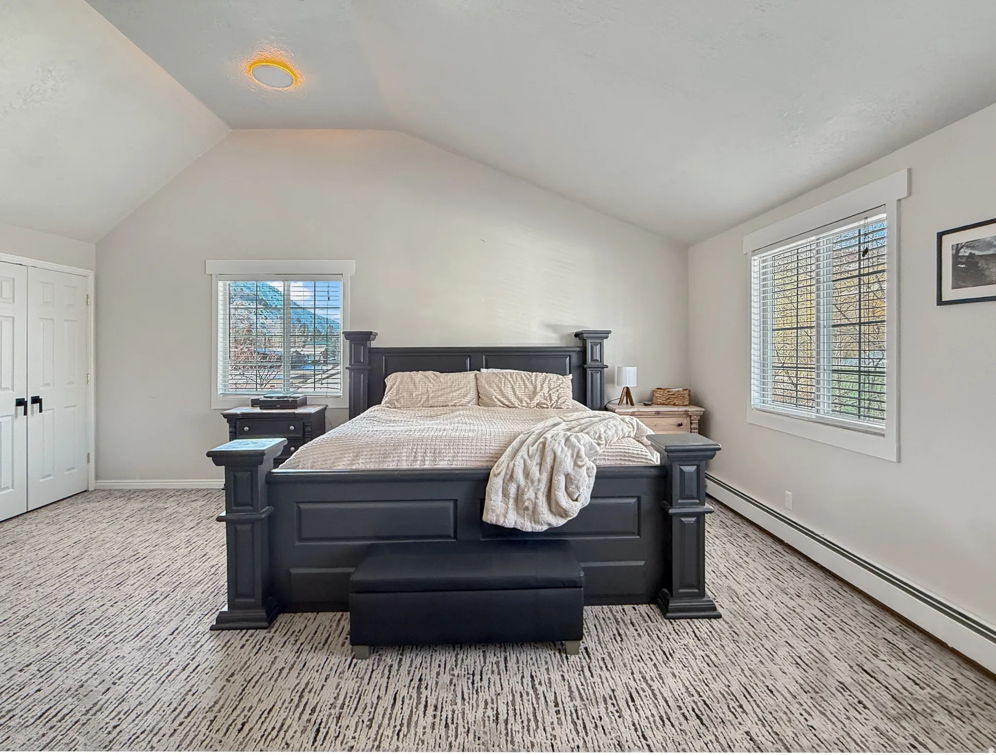 Bedroom featuring a baseboard radiator and light carpet
