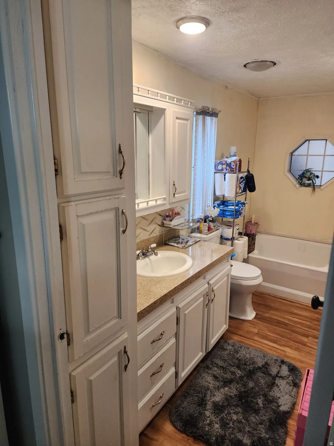 Bathroom featuring vanity, dark wood finished floors, and a textured ceiling