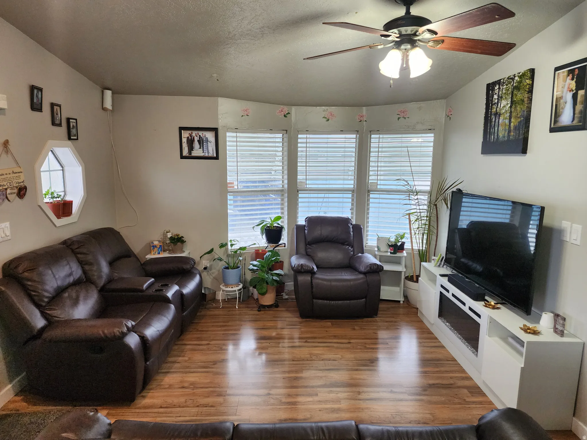 Living room with a ceiling fan, wood finished floors, and a textured ceiling