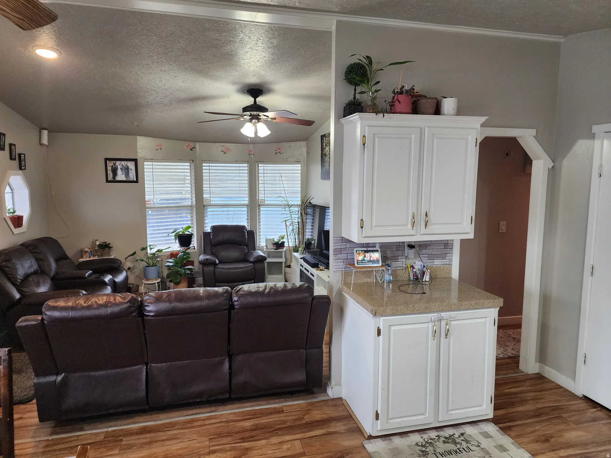 Living area featuring a textured ceiling, a ceiling fan, and dark wood-type flooring