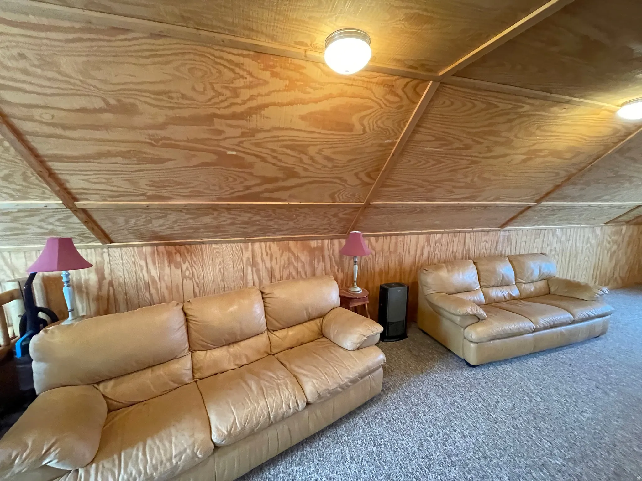 Living room with wood walls and carpet floors