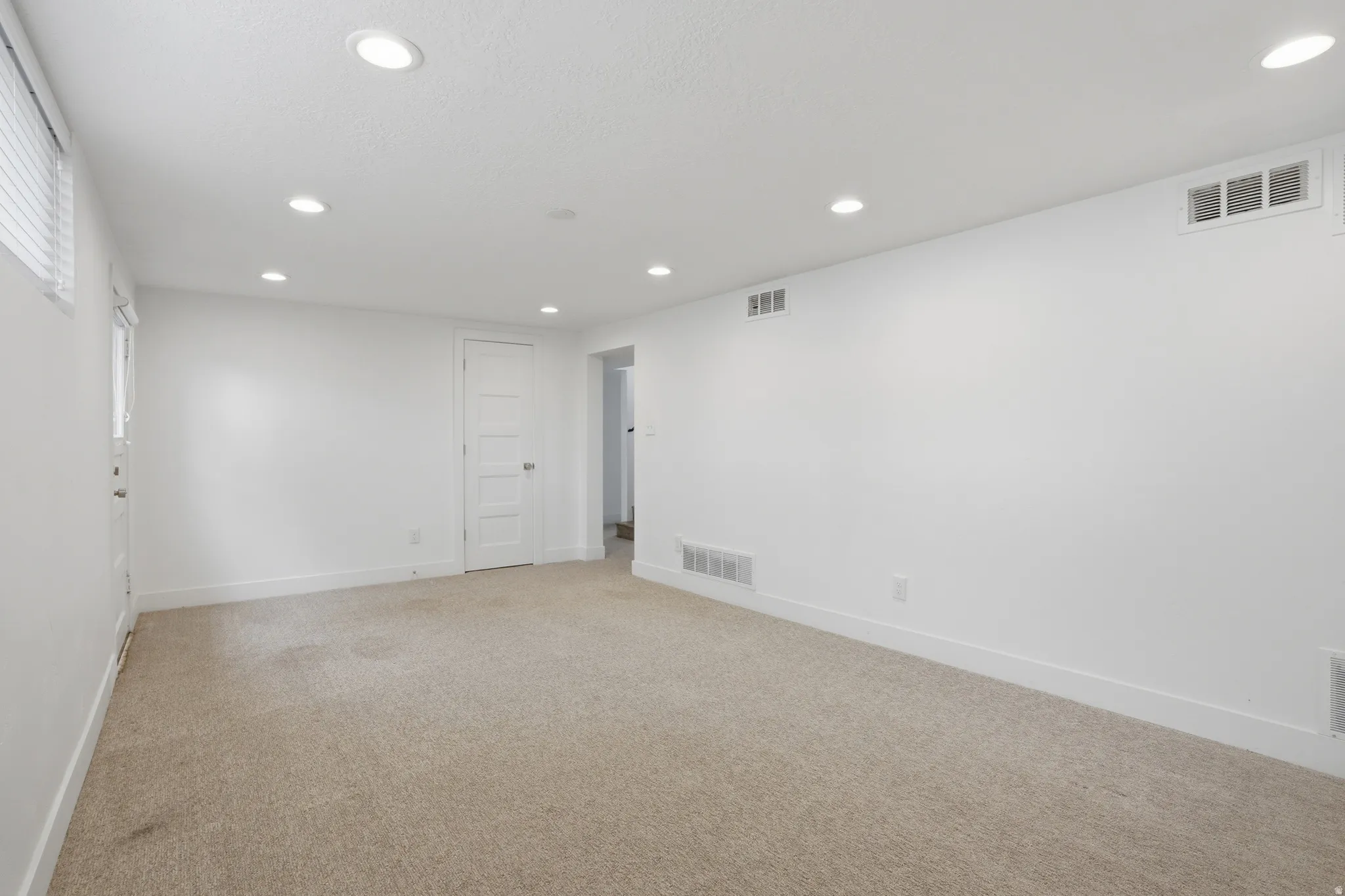 Basement Living room
