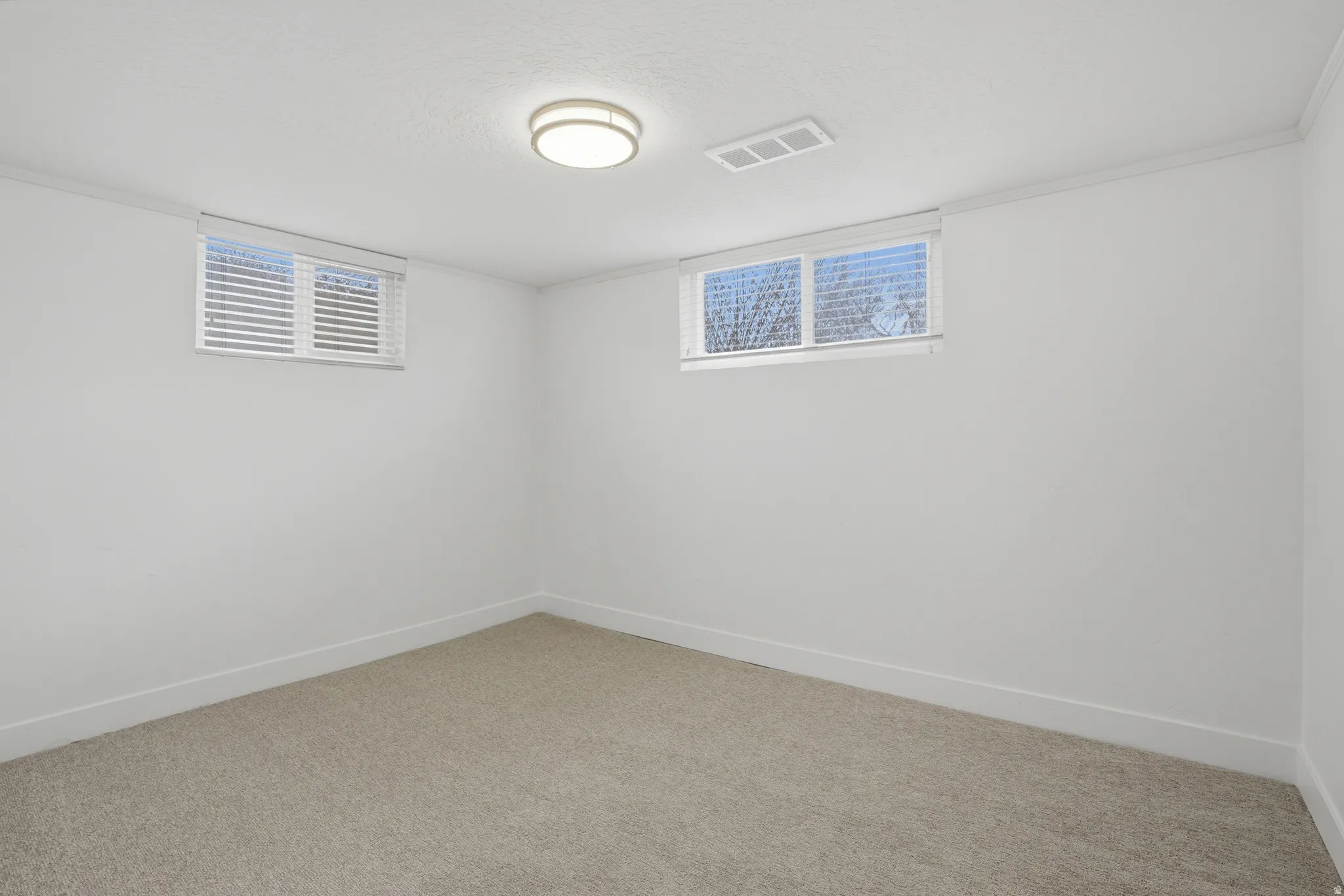 Downstairs bedroom
