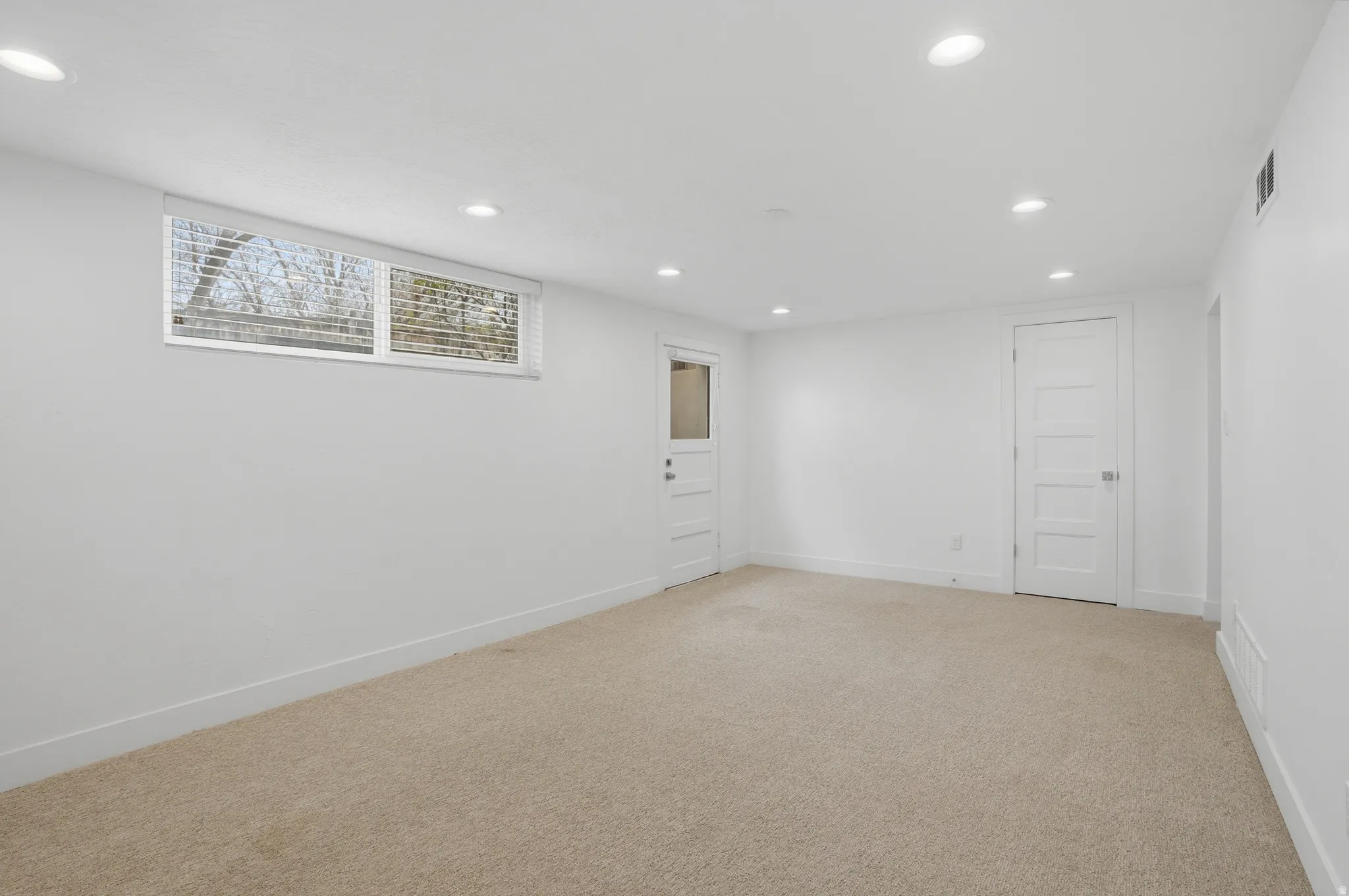 Basement Living room
