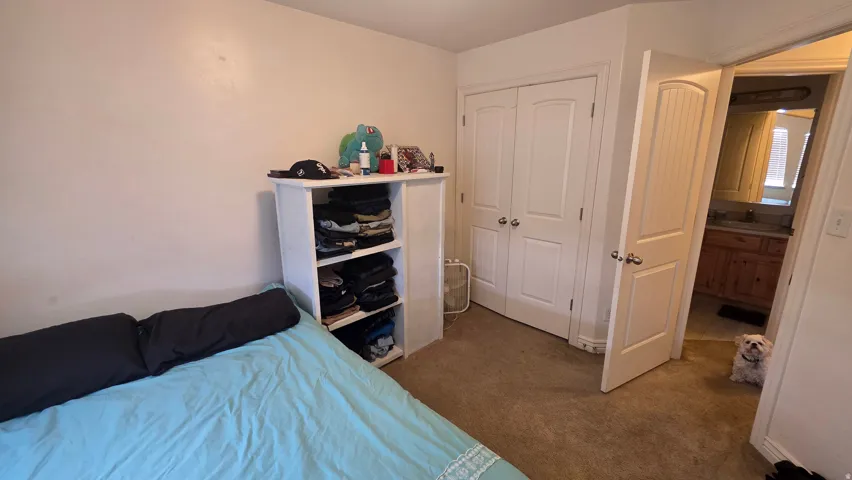 Carpeted bedroom featuring a closet and a sink