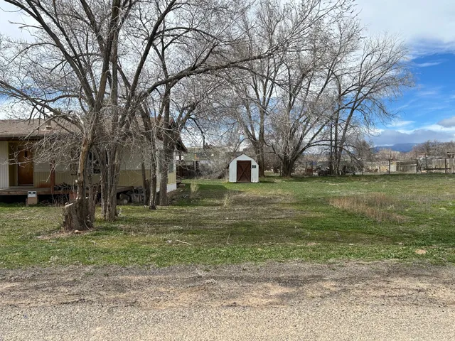 View of grassy yard featuring a storage unit