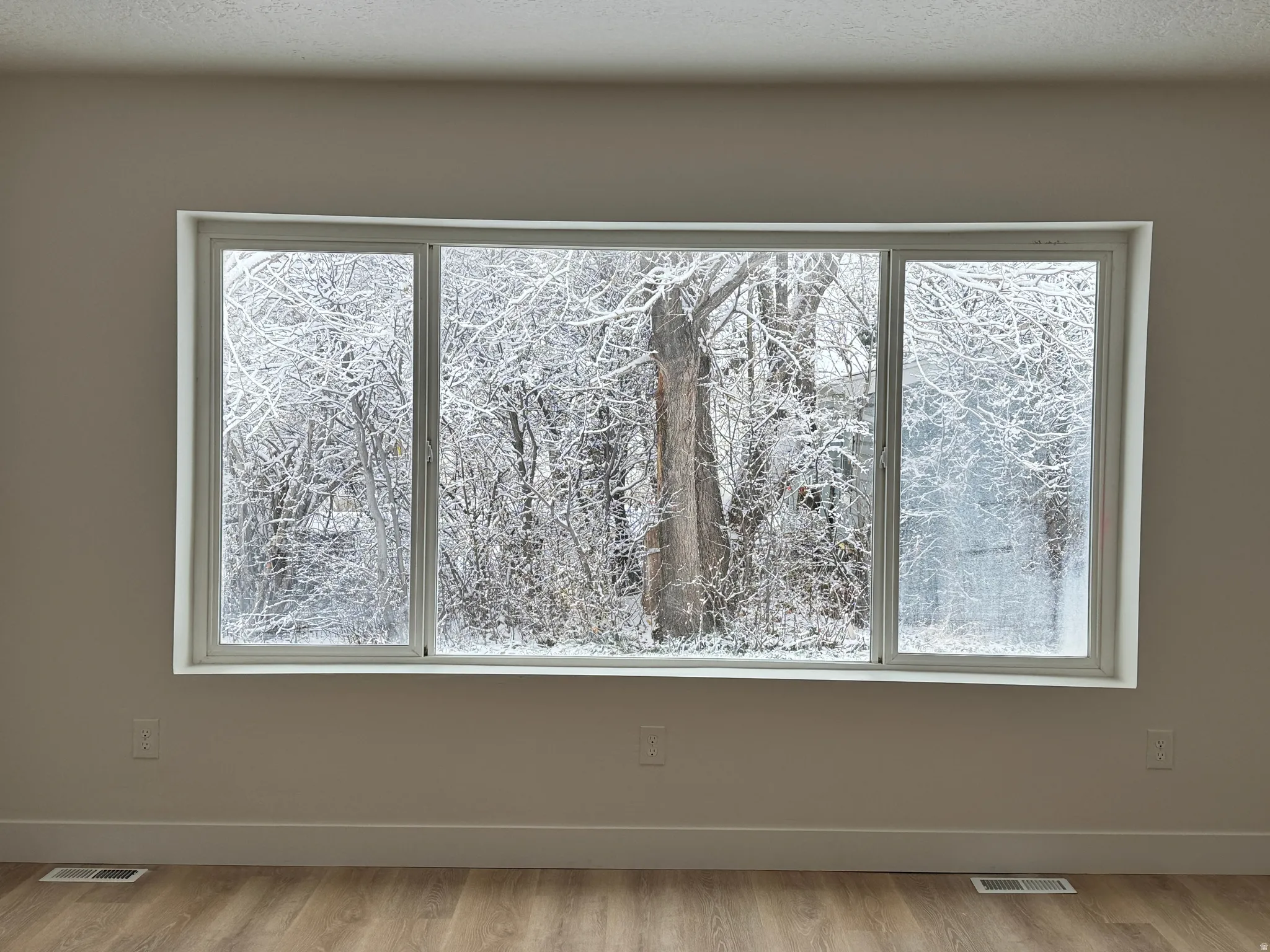 Detailed view of wood finished floors and a textured ceiling