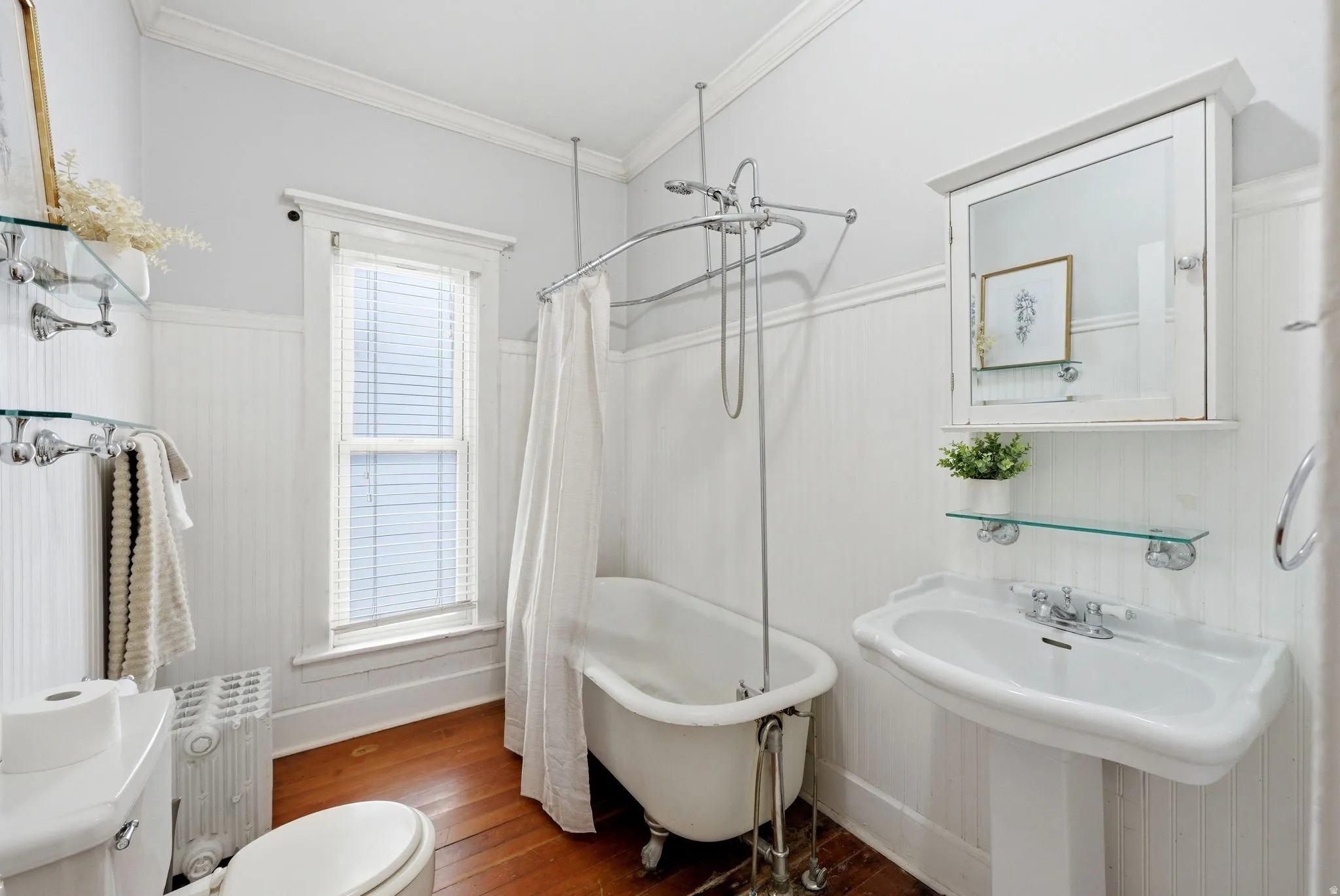 Bathroom with dark wood-style flooring, a combined bath / shower with freestanding tub, radiator, ornamental molding, and a wainscoted wall