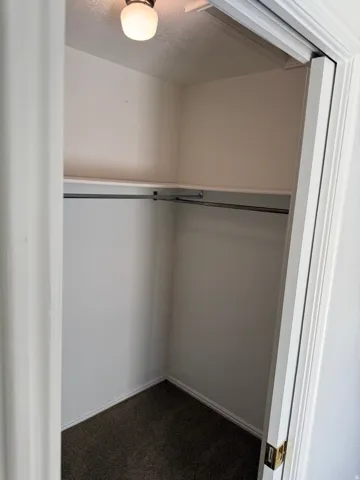 Built-in shelving with hanging rod, flush-mount ceiling light, and carpeted flooring