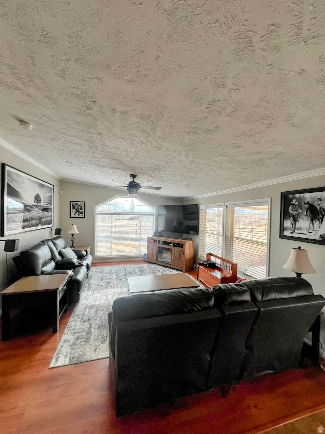Living room featuring wood finished floors, ceiling fan, ornamental molding, and a textured ceiling