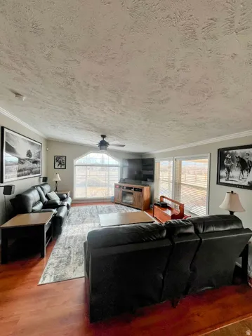 Living room featuring wood finished floors, ceiling fan, ornamental molding, and a textured ceiling