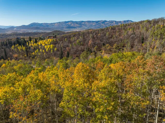 View of mountain background