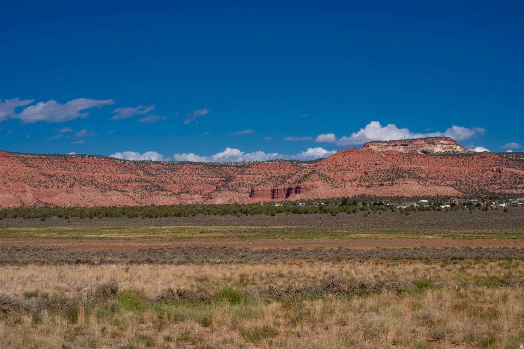 Expansive open terrain with natural grasses and distant red rock formations under a broad blue sky