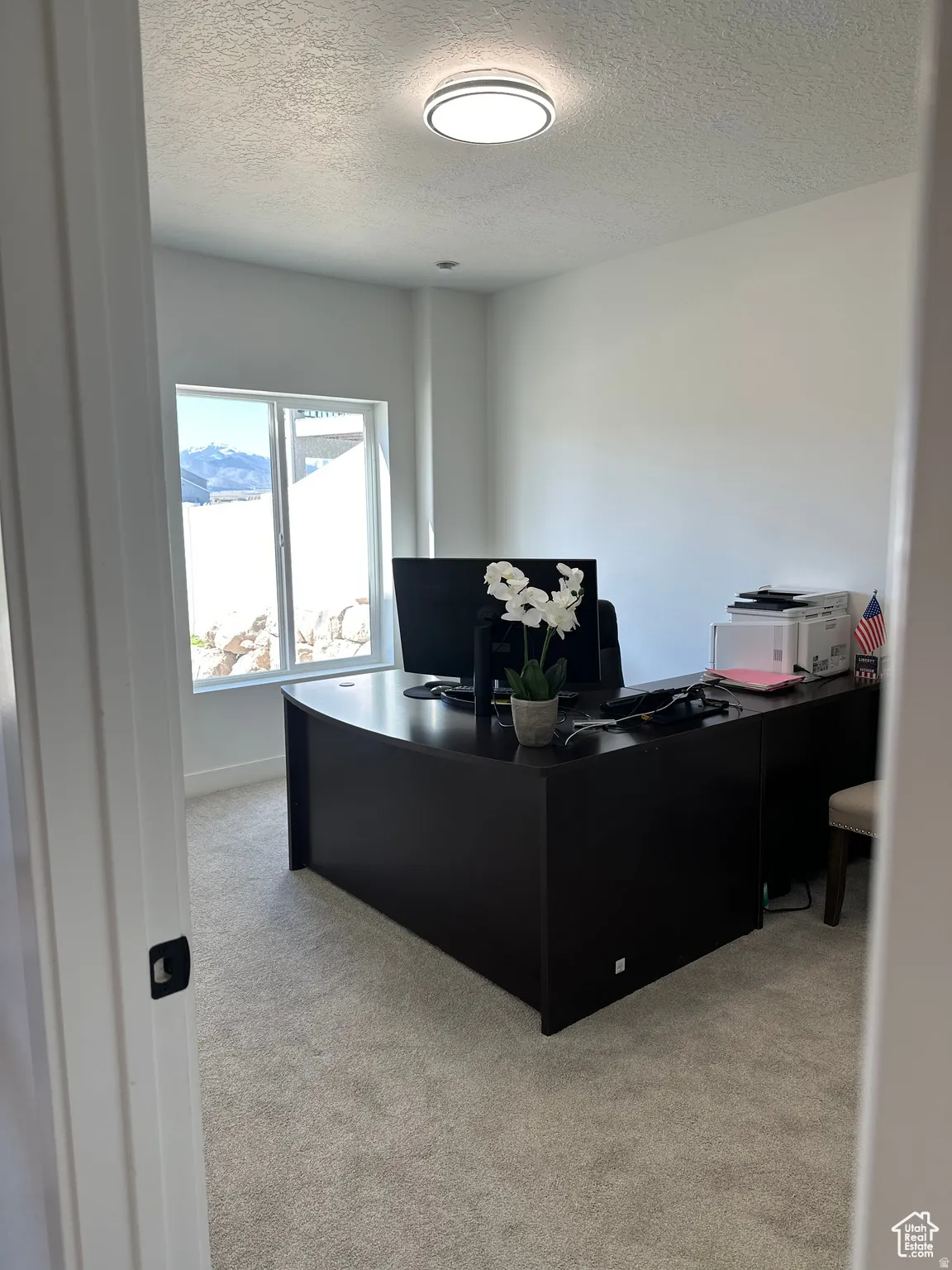 Office with light carpet and a textured ceiling
