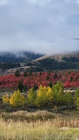 View of mountain background