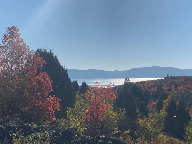 View of mountain background featuring a heavily wooded area