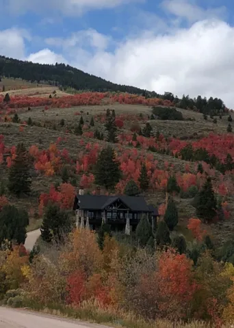 Mountain view with a heavily wooded area