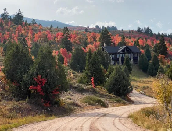 Mountain view with a heavily wooded area