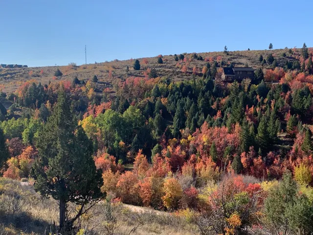 Mountain view