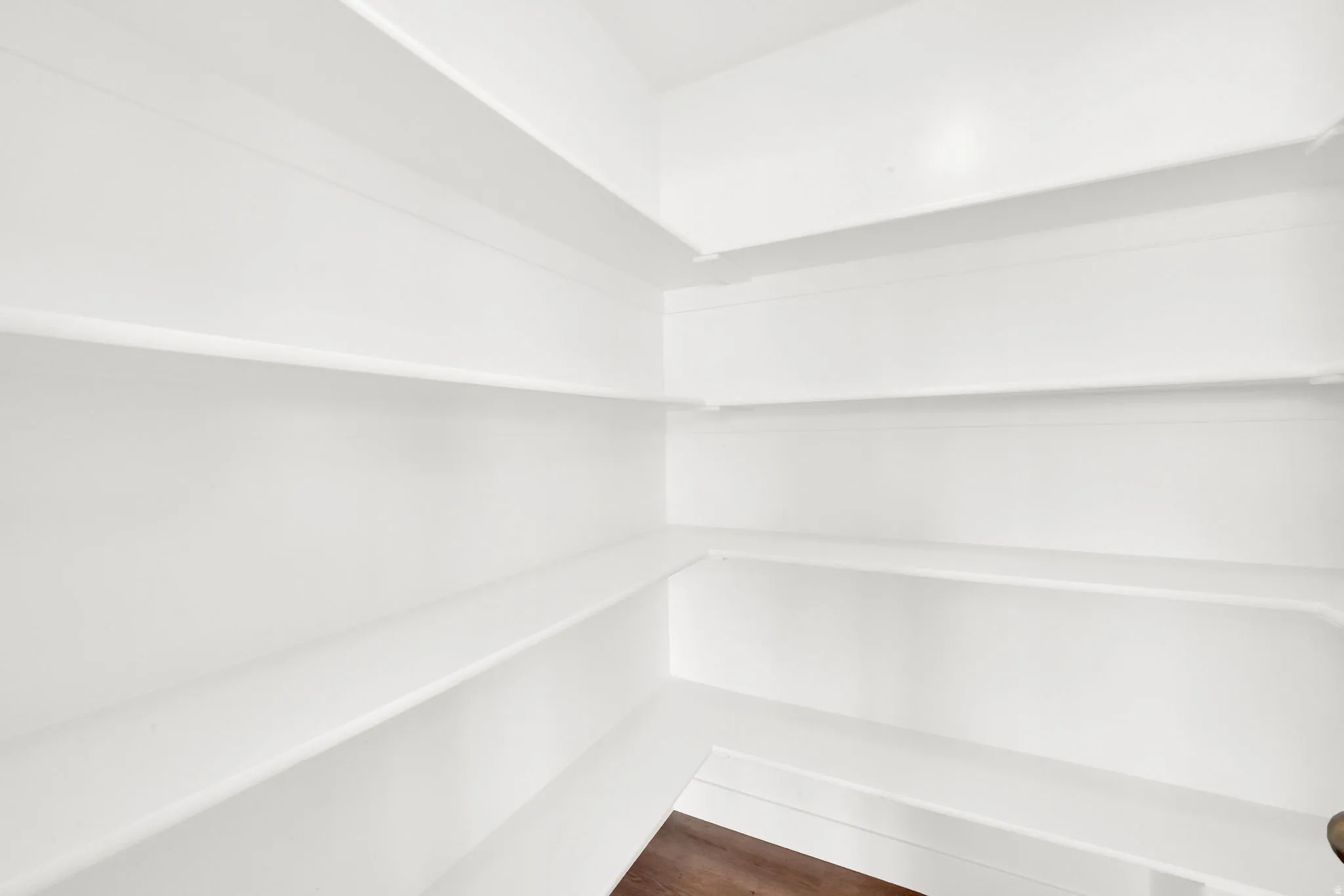 Huge walk-in kitchen pantry