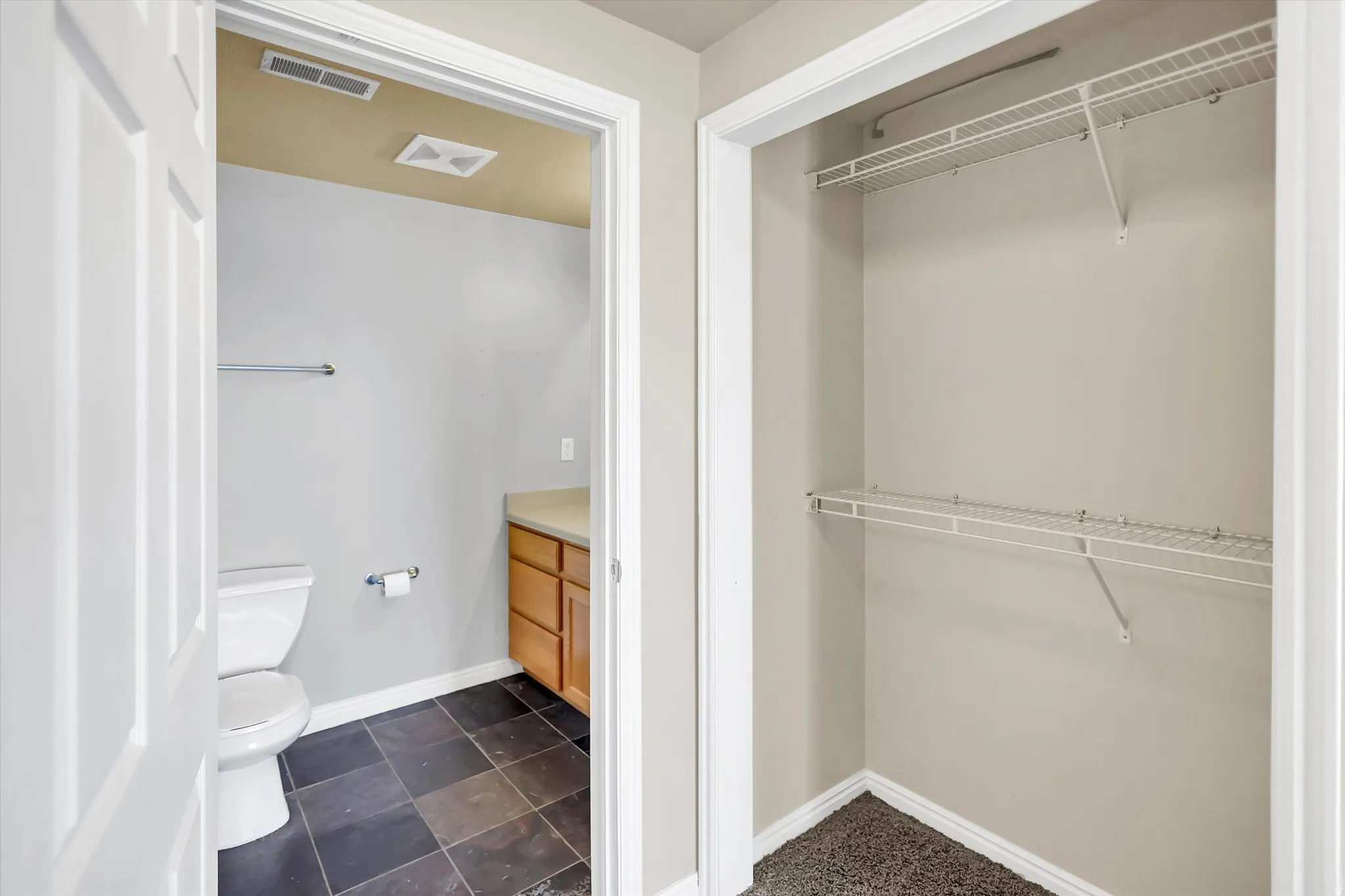 Bathroom featuring vanity and a walk in closet