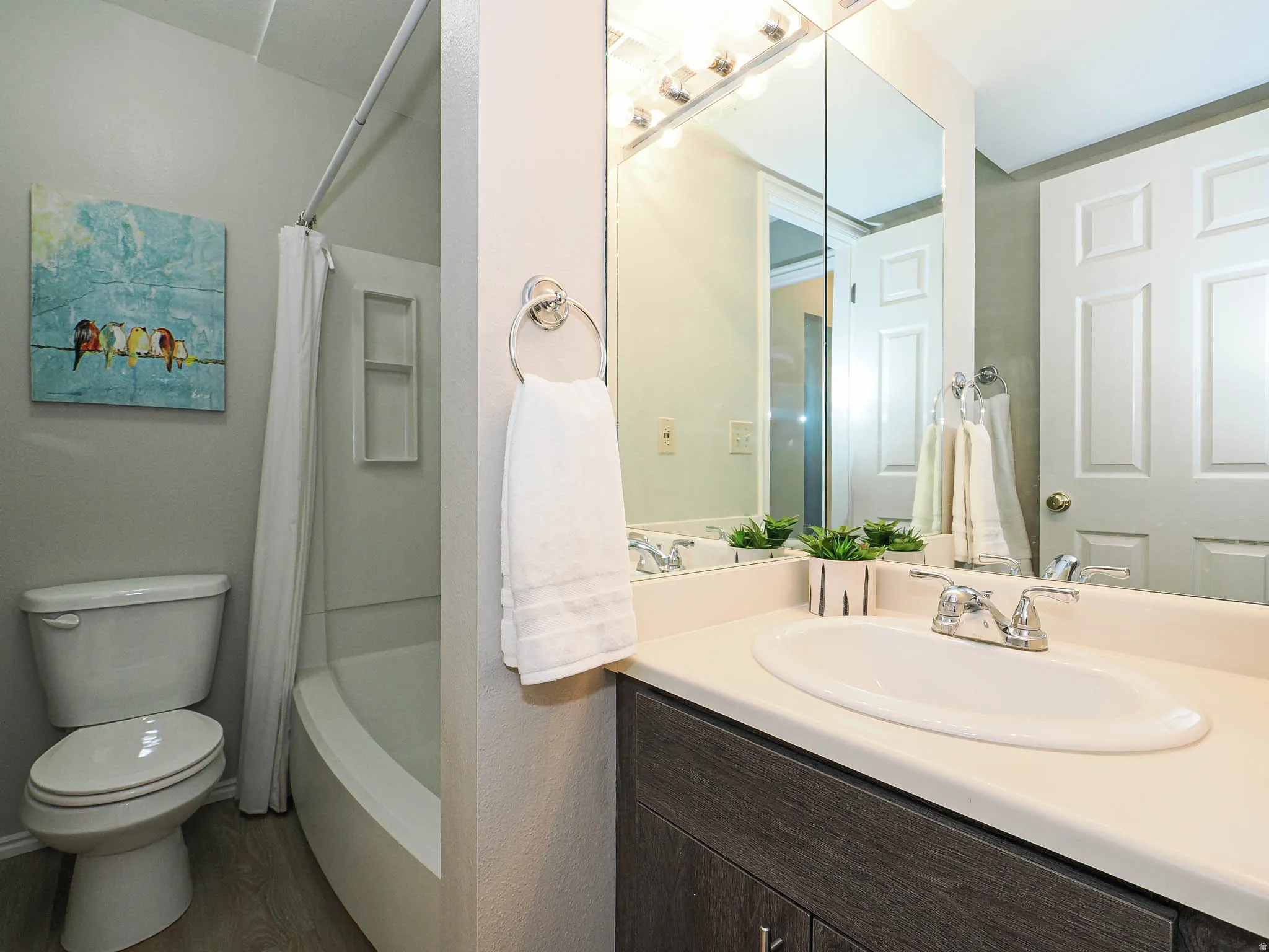 Full bath featuring vanity, shower / tub combo with curtain, and dark wood-style flooring