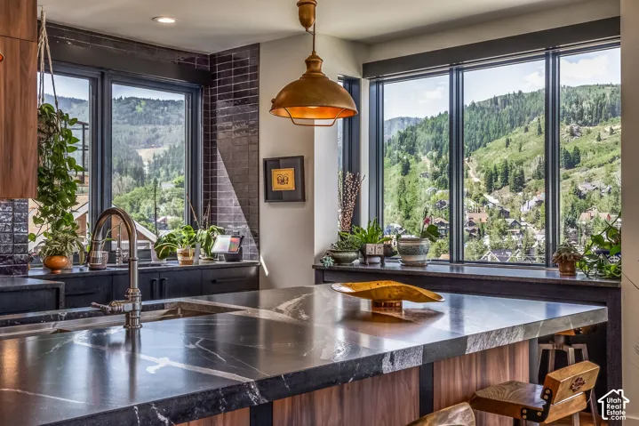 253 Mchenry Ave, Park City, Utah 84060