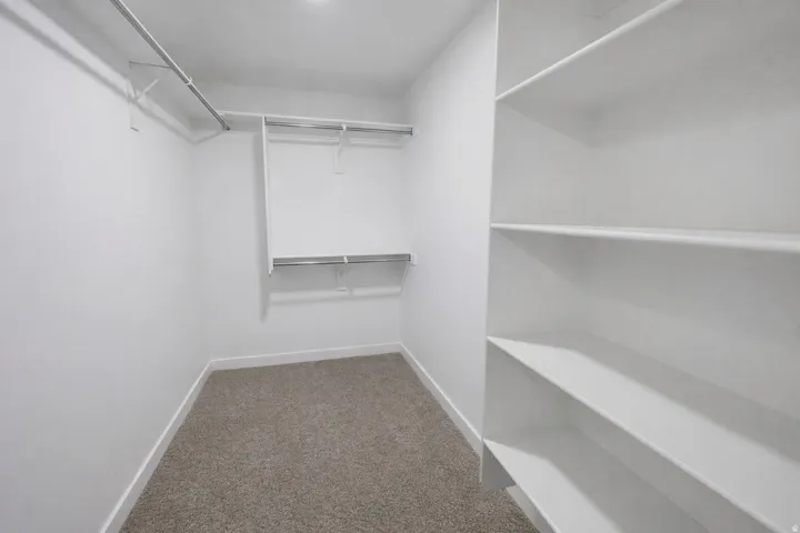 Walk in closet featuring carpet