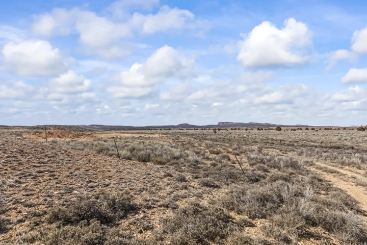 View of local wilderness with rural landscape and a desert landscape