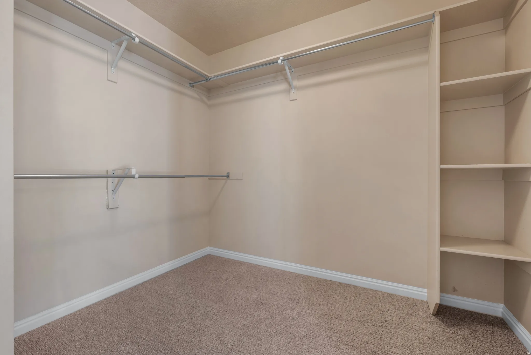 Walk in closet with carpet flooring