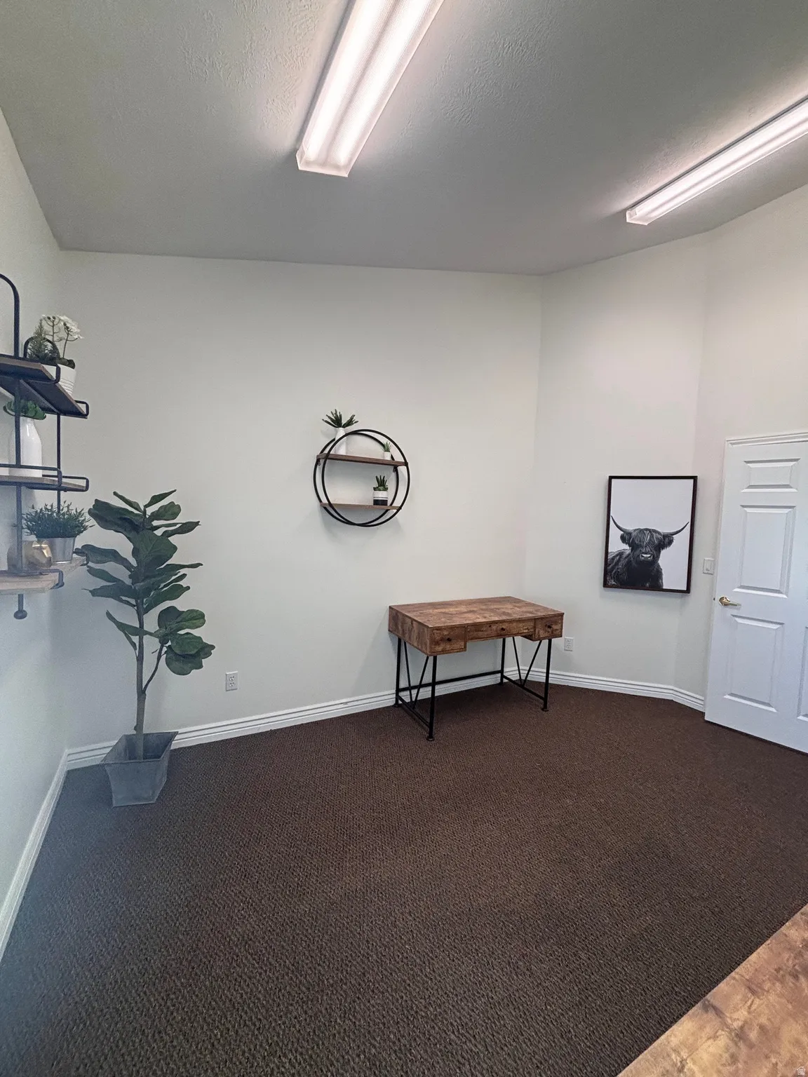 Miscellaneous room with carpet floors and baseboards