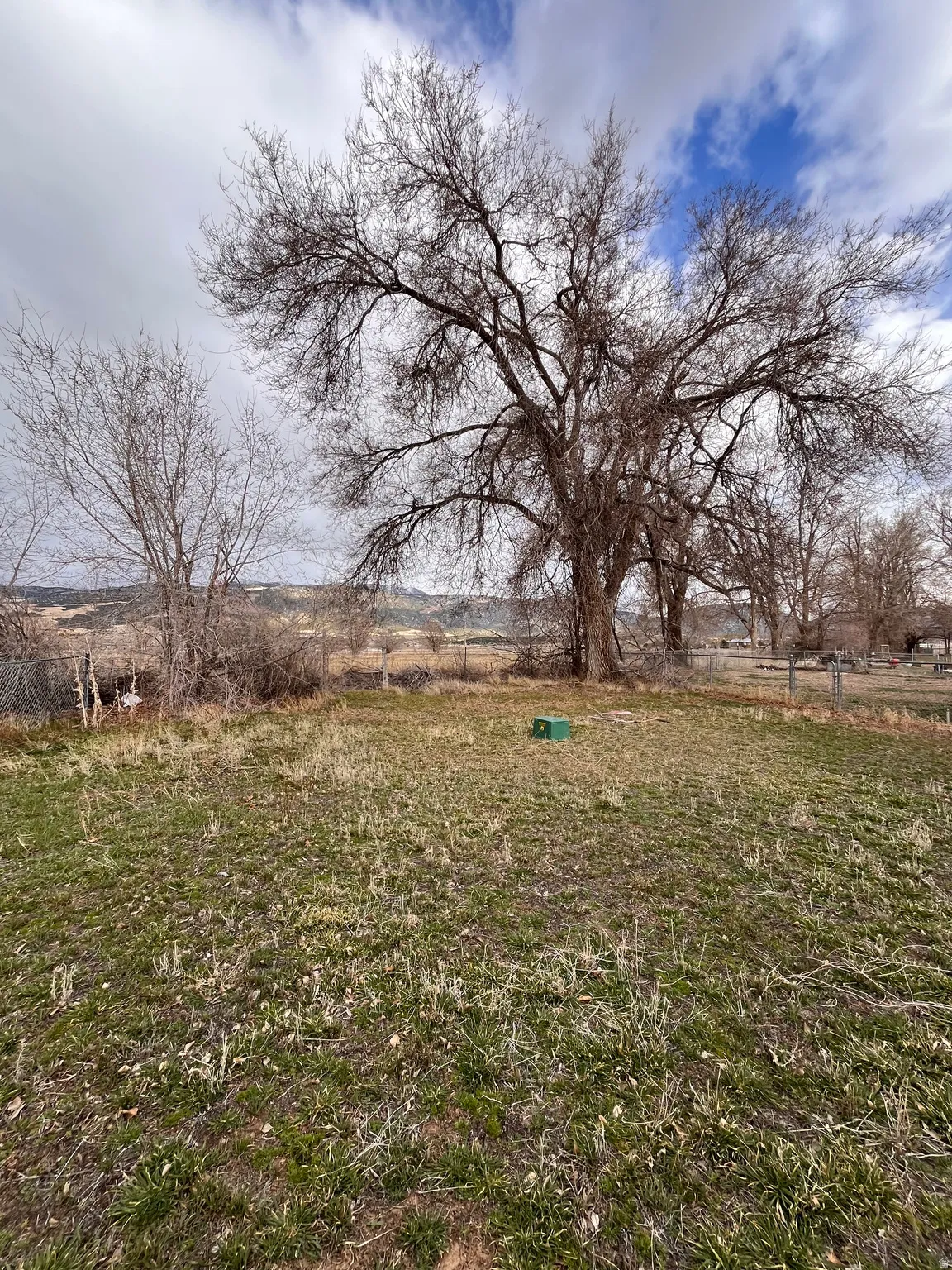 View of yard with a view of rural / pastoral area
