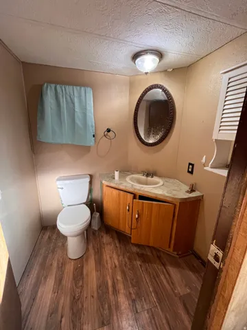 Bathroom with vanity, dark wood-type flooring, and a textured ceiling