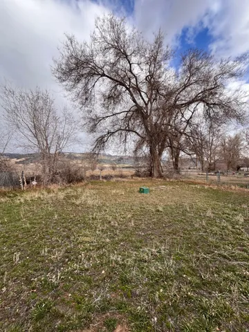 View of yard with a view of rural / pastoral area