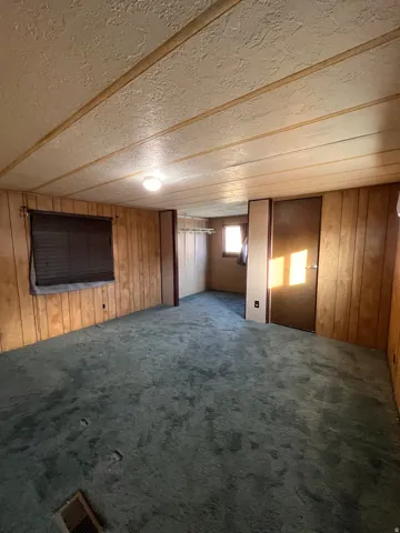 Basement featuring wood walls and dark carpet