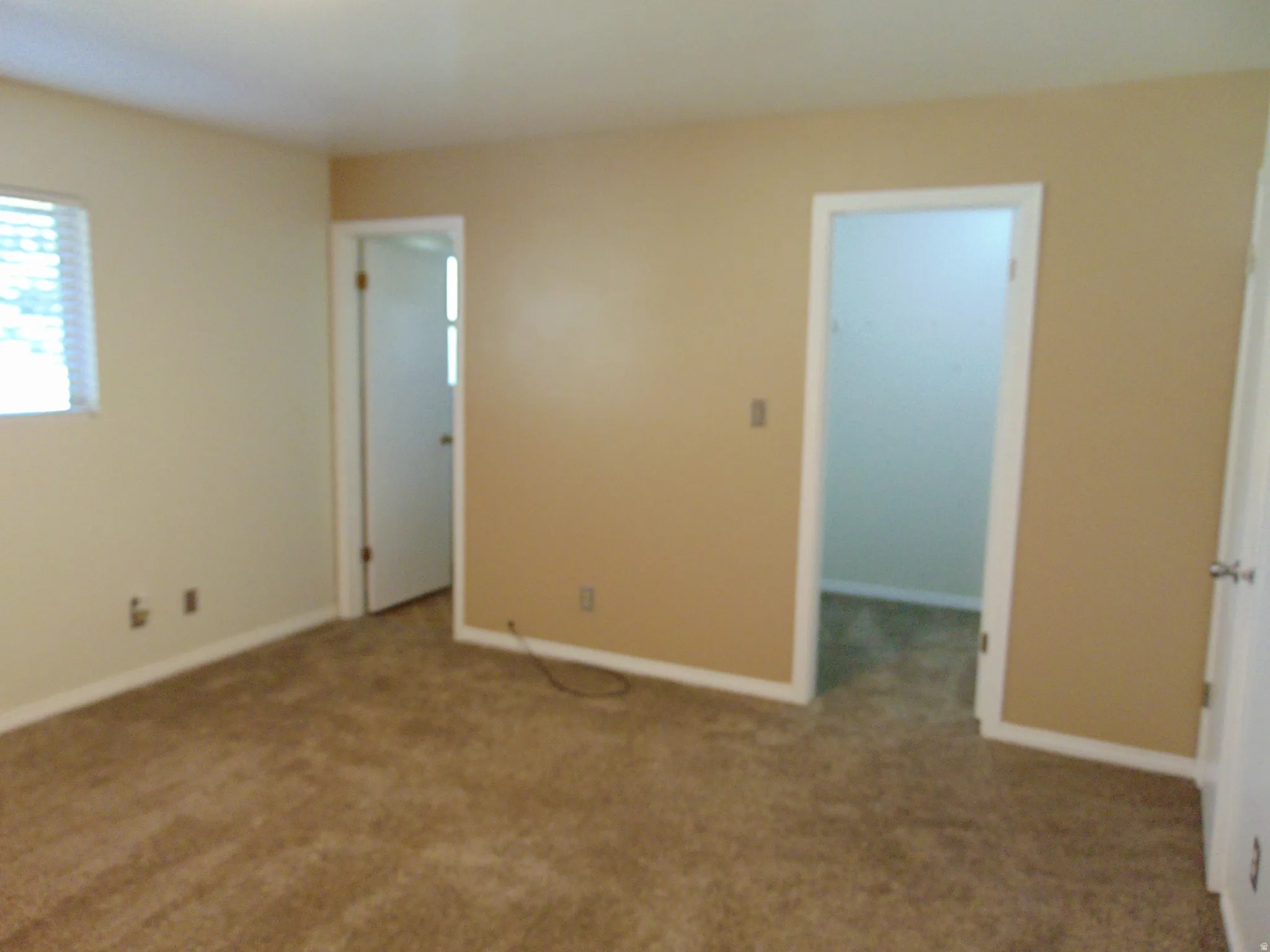 Master bedroom with a spacious closet and carpet floors