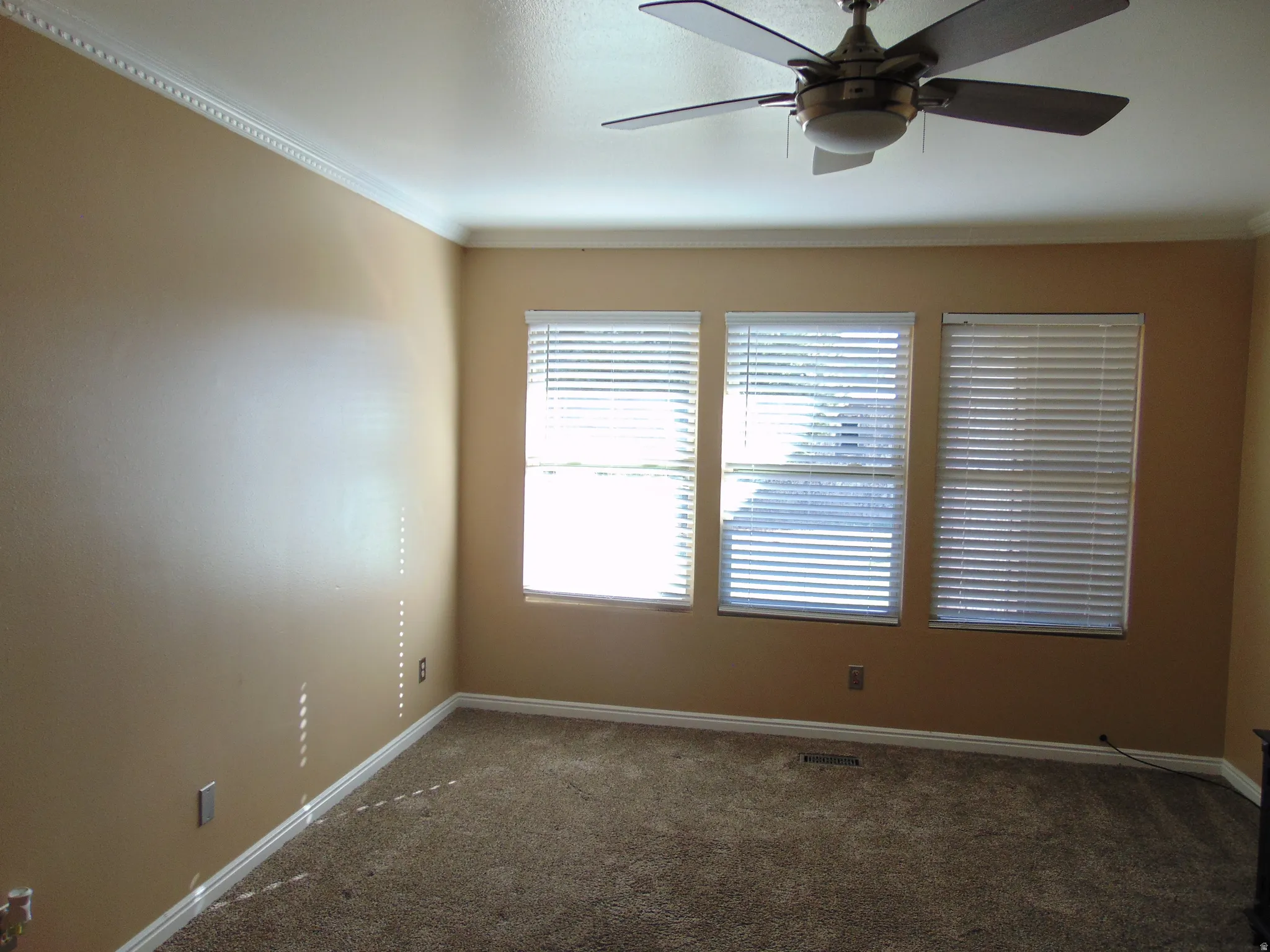 Empty room featuring a ceiling fan, ornamental molding, and dark colored carpet