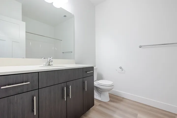 Spacious bathroom featuring a dark wood-finish vanity with ample storage, a wide countertop, a large wall mirror, and wood-finish flooring