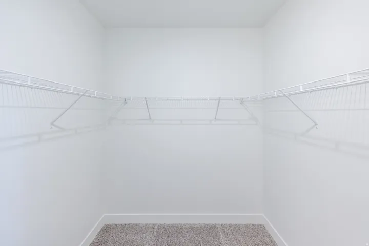 Walk-in closet with white wire shelving, white painted walls, and carpet flooring