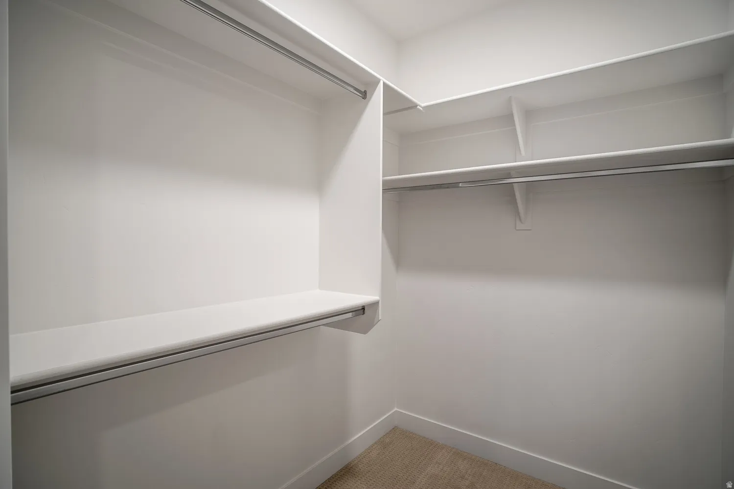 Walk in closet featuring light colored carpet