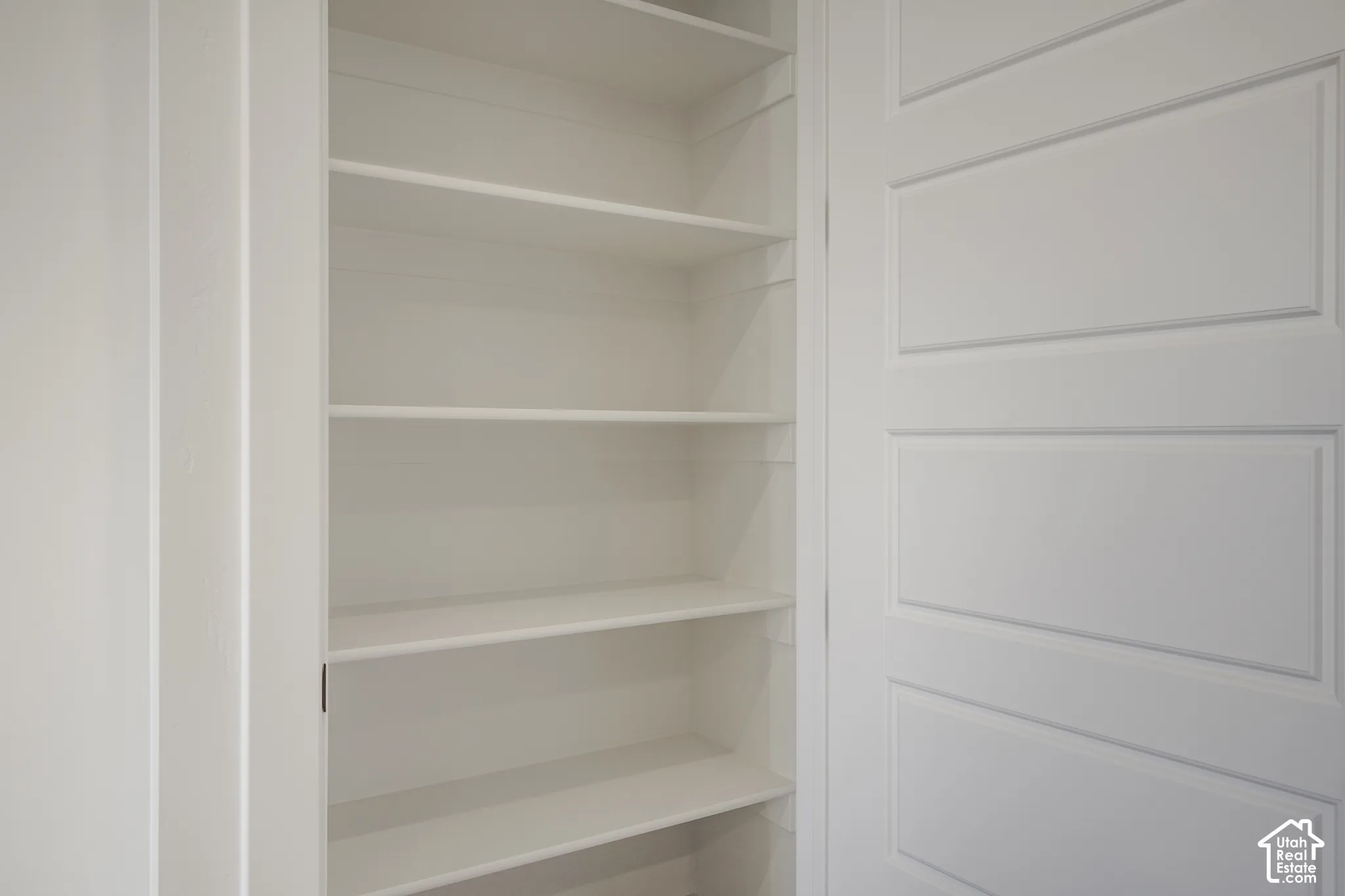 Built-in shelving unit featuring white-painted finish and a four-panel door