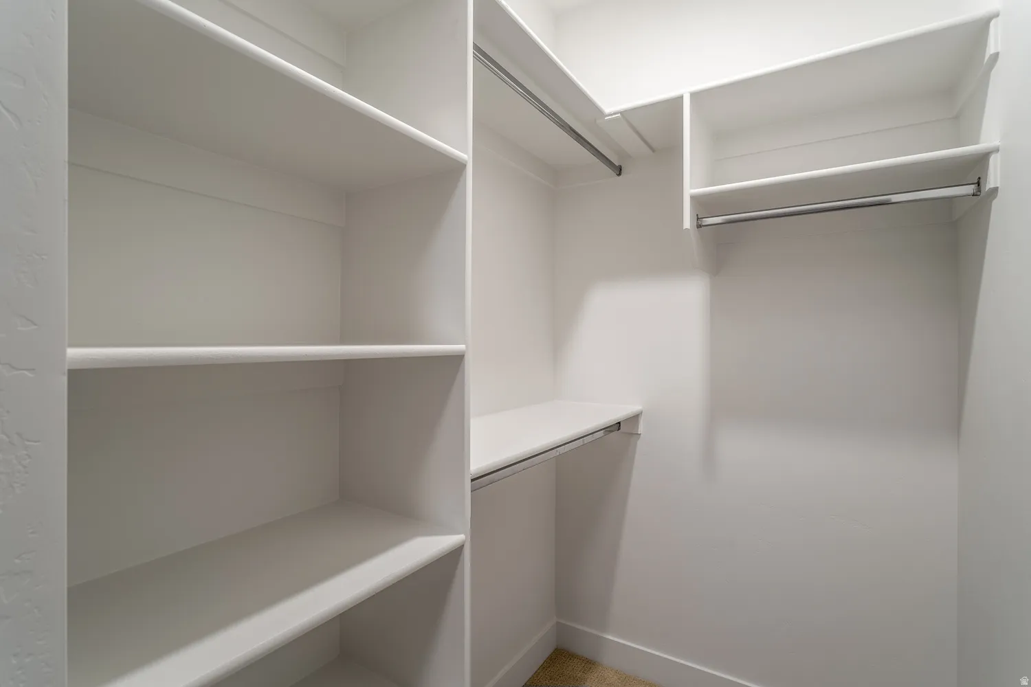Walk in closet featuring carpet